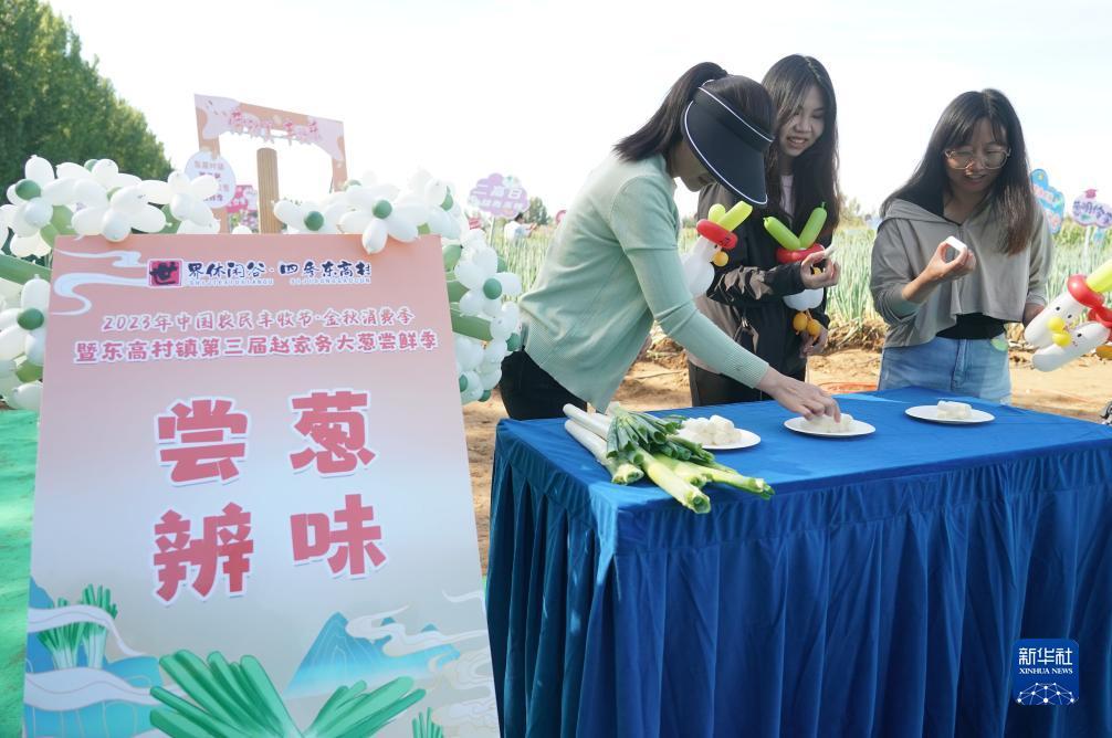 官网打牌软件